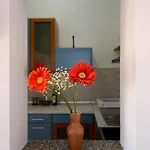 Apartman Adriana