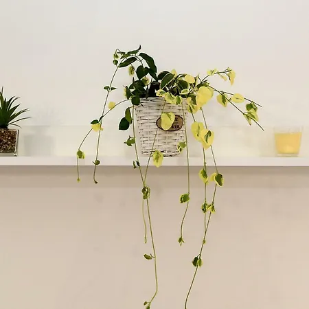 Apartamento Adriana